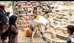 الانشطة والمبادرات